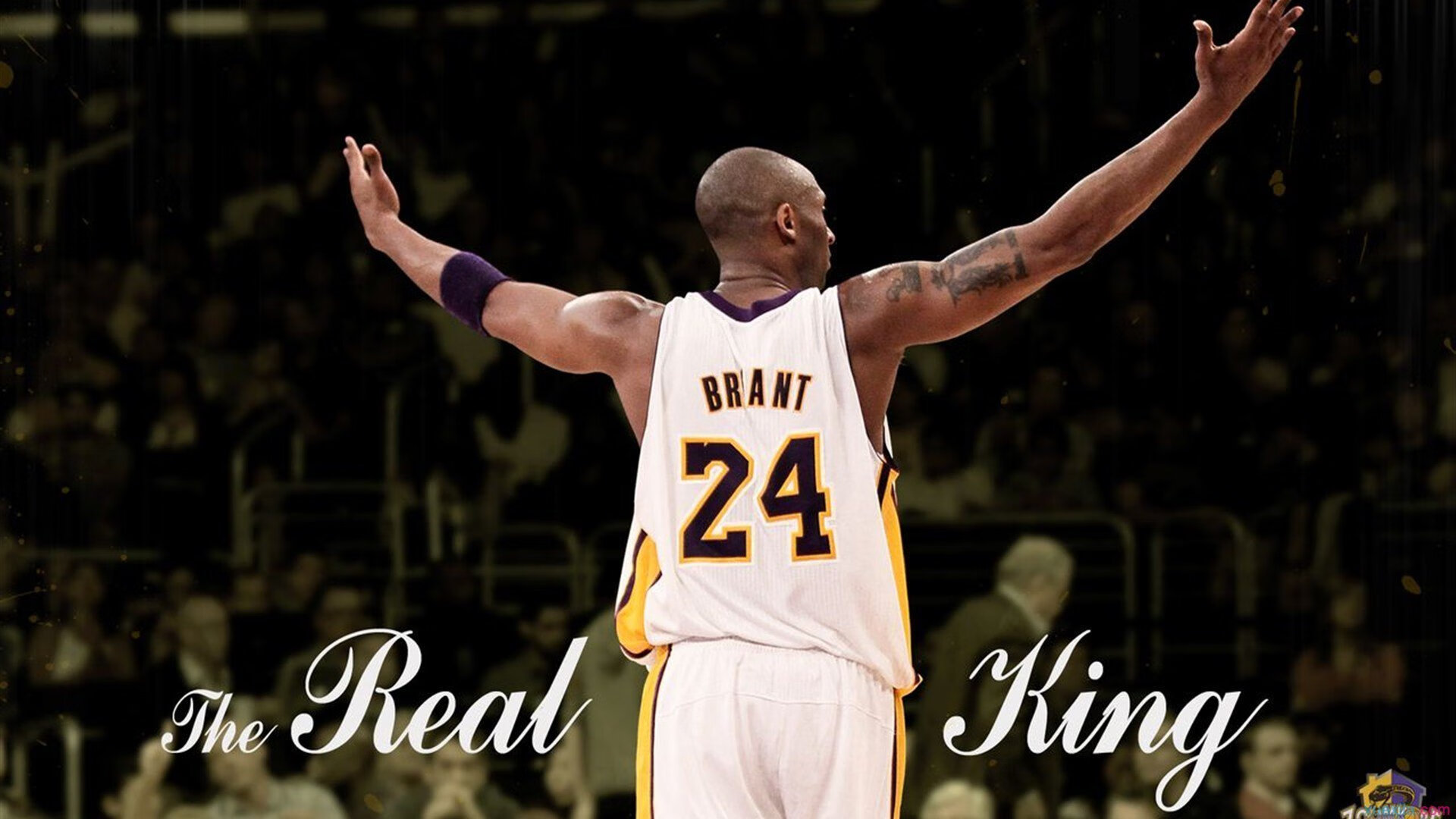 焦点战完美证明，加克波，瑞典人凭什么赢？